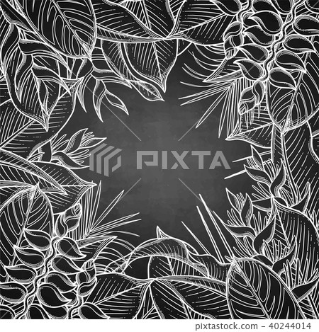 Graphic heliconia design Graphic heliconia design 40244014