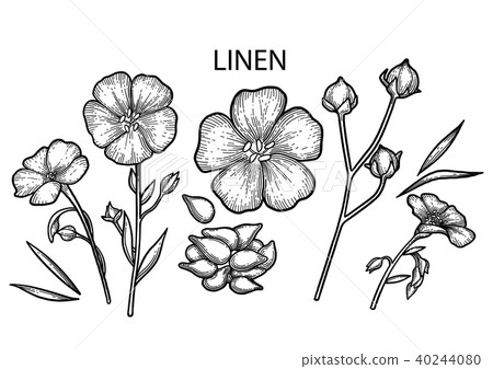 Graphic linen set 40244080