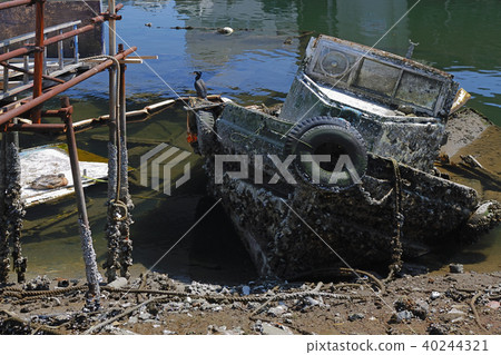 Koyasu地區神奈川縣橫濱市 40244321