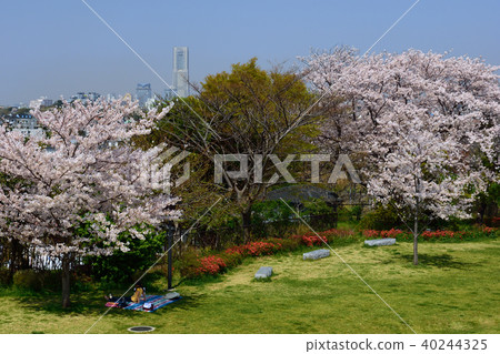 Kanagawa Prefecture Yokohama City Honmokuzan Park Kanagawa Prefecture Yokohama City Honmokuzan Park 40244325