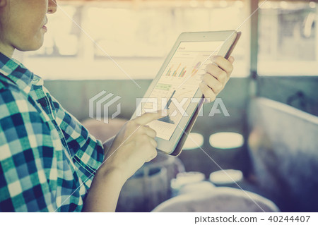 Veterinarian working on check and manage farm Veterinarian working on check and manage farm 40244407