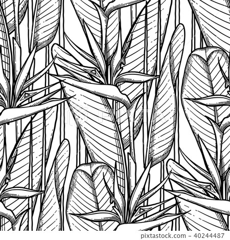 Graphic strelitzia pattern Graphic strelitzia pattern 40244487