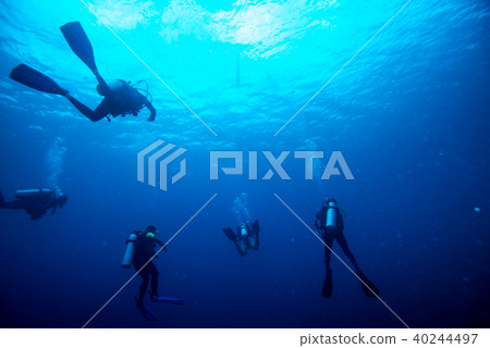 去帕勞底部的潛水者的剪影 40244497
