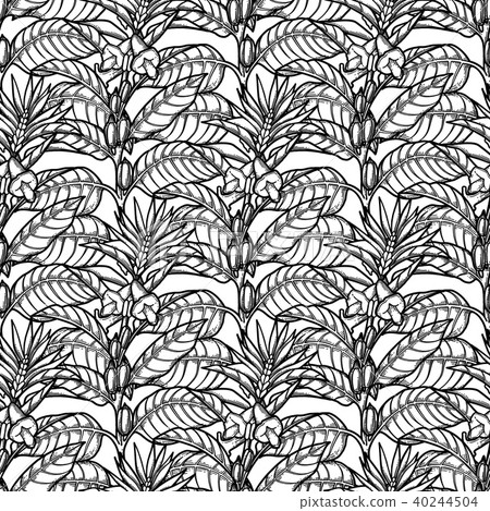 Graphic sesame pattern Graphic sesame pattern 40244504