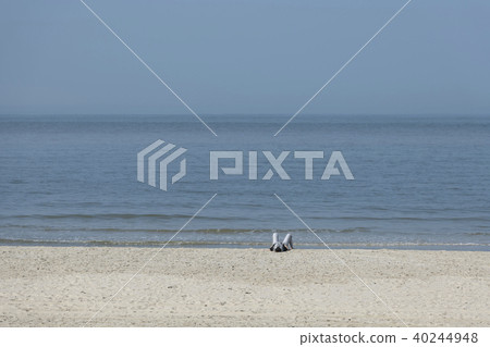 A single person who is sunbathing on the beach. A single person who is sunbathing on the beach. 40244948