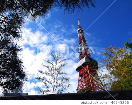 Tokyo Tower    40245266