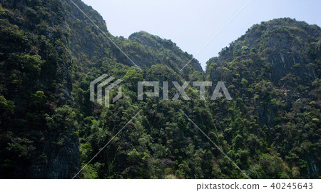 The cliffs of Phi Phi Island in Krabi, Thailand 40245643