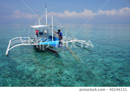 Nalusuan Island 40246131