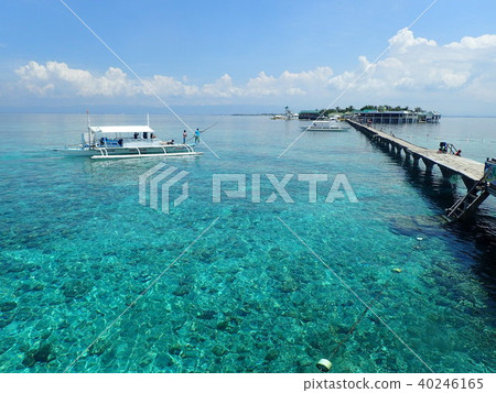 Nalusuan Island Cebu 40246165