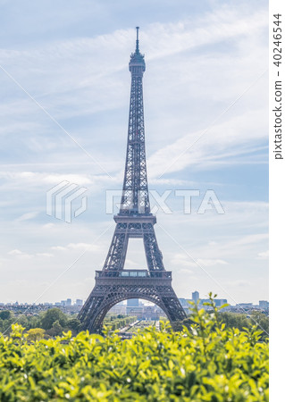 Eiffel Tower in Paris 40246544