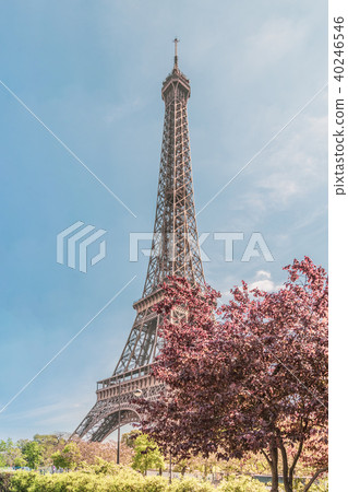 Eiffel Tower in Paris Eiffel Tower in Paris 40246546