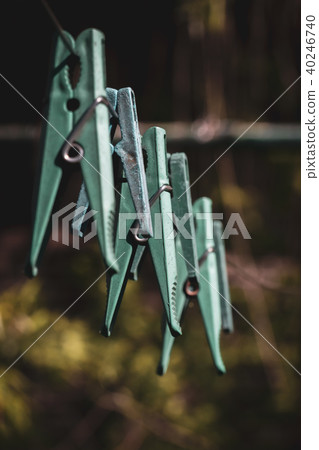 Old clothespins on a rope 40246740