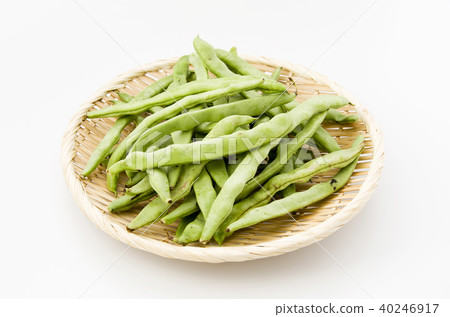 希拉·賽丁根 40246917