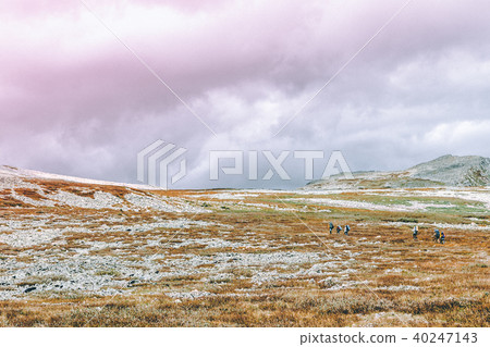Gently sloping hills and pastel colors. Gently sloping hills and pastel colors. 40247143