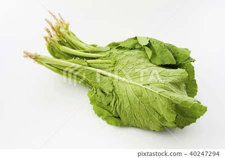 Mustard Mustard 40247294