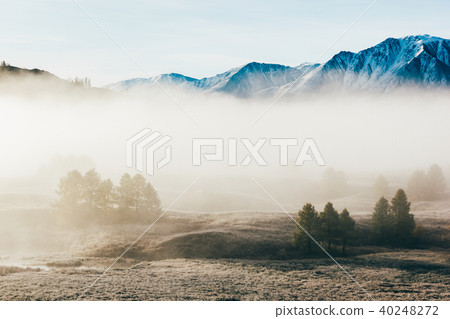 Fog in the mountain valley Fog in the mountain valley 40248272