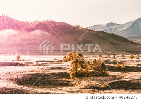 Fog in the mountain valley Fog in the mountain valley 40248273