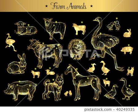 Set of isolated vintage sketches of farm animals Set of isolated vintage sketches of farm animals 40249335