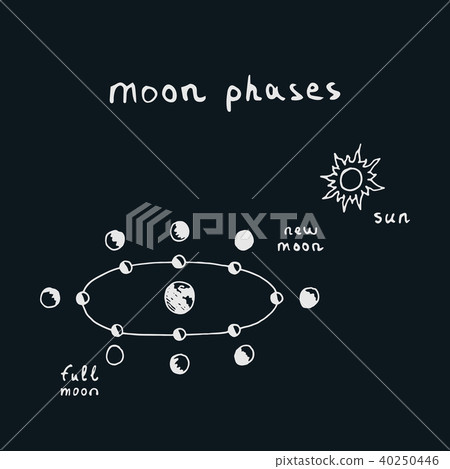 Vector hand drawn moon phases scheme Vector hand drawn moon phases scheme 40250446