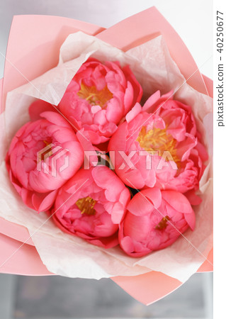 Lovely flowers in glass vase. Beautiful bouquet of peonies sort of coral charm. Floral composition 40250677