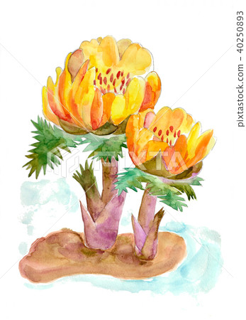 Fukuge and remaining snow 40250893