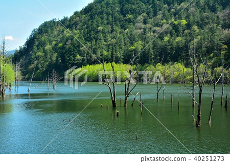 Otaki-mura Nature Lake 40251273