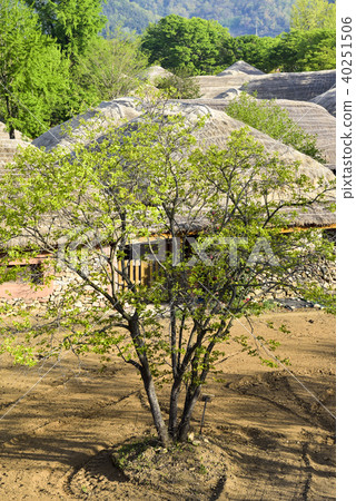 Nakan-eupseong (Historic Site No. 302), Suncheon, Jeonnam 40251506