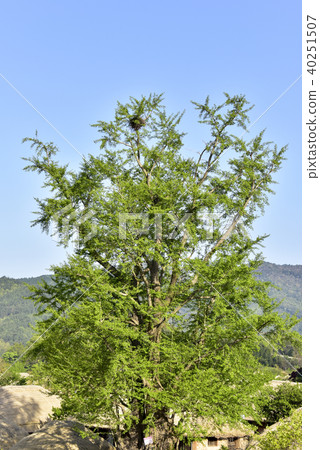 Nakan-eupseong (Historic Site No. 302), Suncheon, Jeonnam 40251507