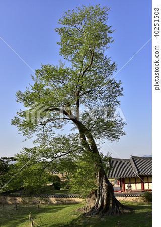 Nakan-eupseong (Historic Site No. 302), Suncheon, Jeonnam 40251508