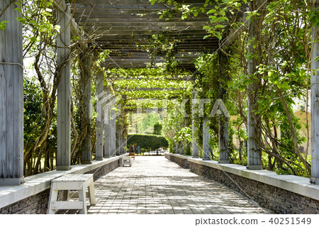 順天灣國家花園,順天,全南 順天灣國家花園,順天,全南 40251549