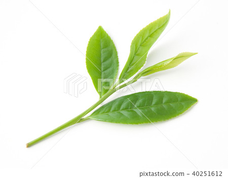 Tea leaves 40251612
