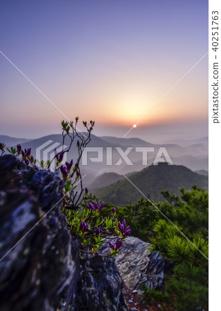 Mt.,Mt.,T。,Boeun-gun,Chungbuk Mt.,Mt.,T。,Boeun-gun,Chungbuk 40251763