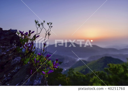 Mt., Mt. T., Boeun-gun, Chungbuk Mt., Mt. T., Boeun-gun, Chungbuk 40251768