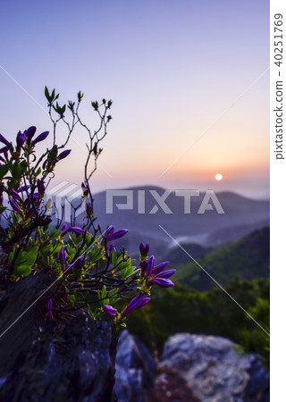 Mt., Mt. T., Boeun-gun, Chungbuk Mt., Mt. T., Boeun-gun, Chungbuk 40251769
