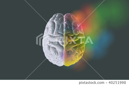 Right brain fuction present isolated on gray BG 40251998