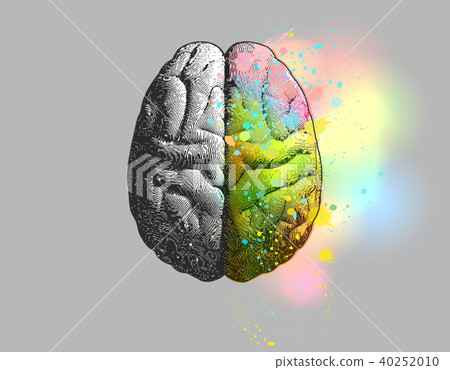 Right brain fuction present isolated on gray BG 40252010