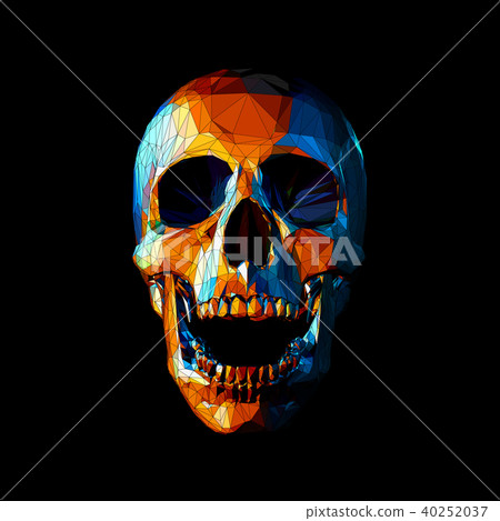 Colorful polygonal skull illustration on black BG 40252037