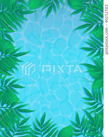 棕櫚樹 棕櫚樹 40252503