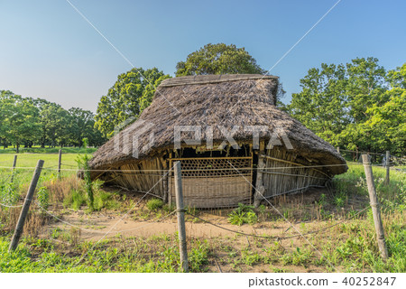 Scenery of Kaso Riso shell mound in summer Scenery of Kaso Riso shell mound in summer 40252847