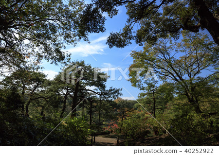 園林風光(東京,Rikugien,秋季版) 園林風光(東京,Rikugien,秋季版) 40252922