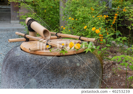 松尾泰莎的山武 40253239