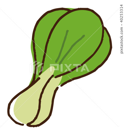 An understanding 40253314