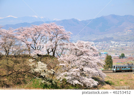 中央線211系列列車在勝沼Rokusakura和南阿爾卑斯山後面運行 40253452