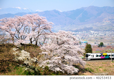 中央線E 257系列特快列車，在勝沼Roku Sakura和南阿爾卑斯山脈的背景下運行 40253453
