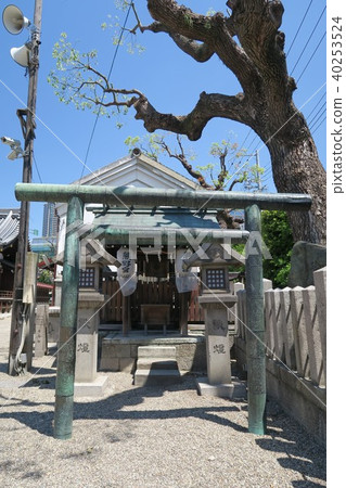 Noda Emisu Shrine-Kumano Shrine- 40253524