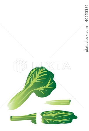 Cut vegetables 40253583