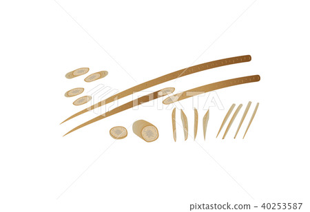 Cut vegetable burdock 40253587