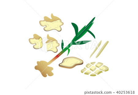 Cut vegetable ginger Cut vegetable ginger 40253618