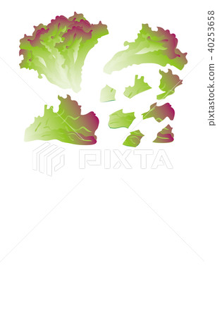 切蔬菜陽光生菜 切蔬菜陽光生菜 40253658