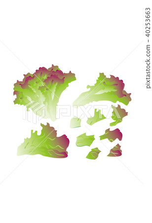 切蔬菜陽光生菜 40253663